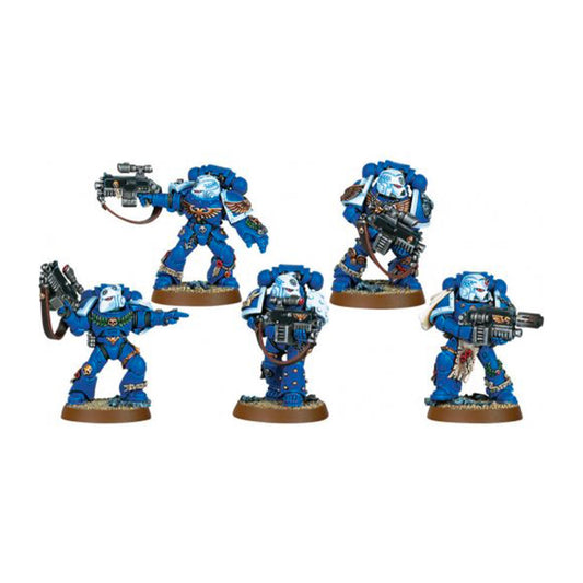 Sternguard Veterans