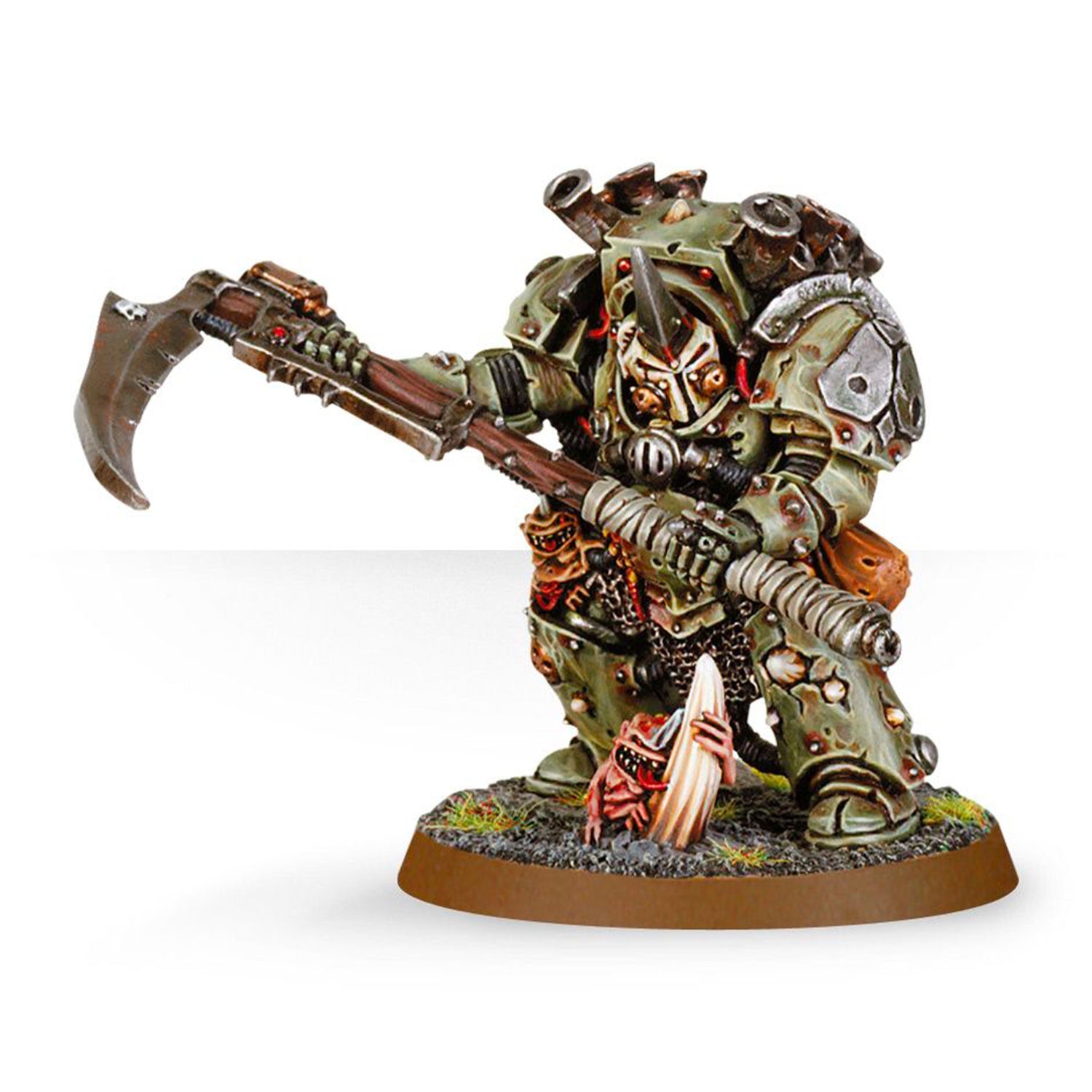 Typhus