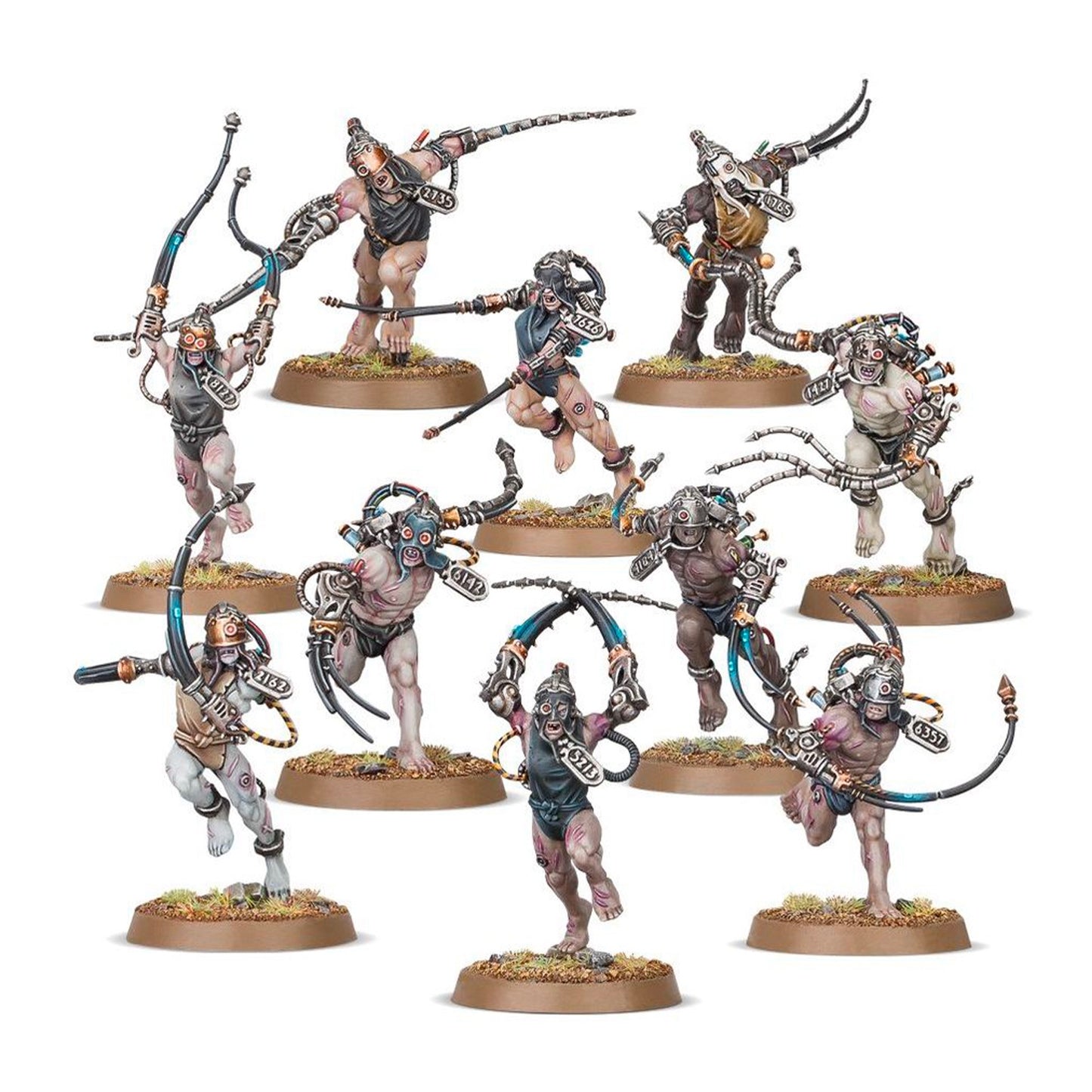 Arco flagellants